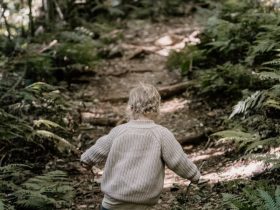 boy in brown sweater and blue denim jeans walking on green grass during daytime