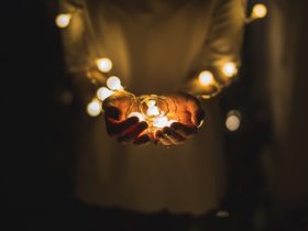 person holding string lights