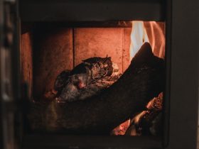 brown and black wood burner