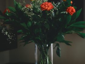 red and yellow flowers in clear glass vase