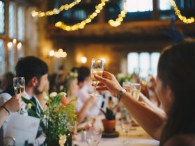 people raising wine glass in selective focus photography