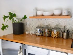 a kitchen counter with a microwave and a potted plant