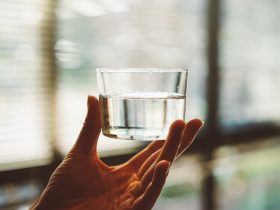 person holding clear glass cup with half-filled water