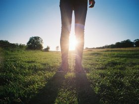 person in black pants standing on green grass field during daytime