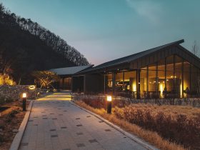 brown wooden building near trees during night time