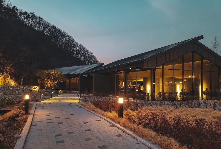 brown wooden building near trees during night time