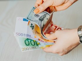 person holding 100 euro bill