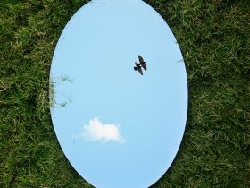 a bird flying in the sky through a circular mirror