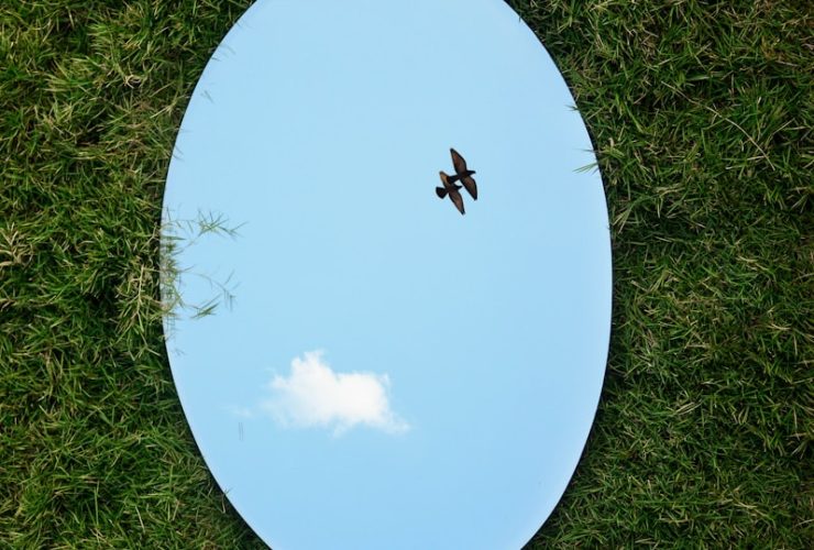 a bird flying in the sky through a circular mirror