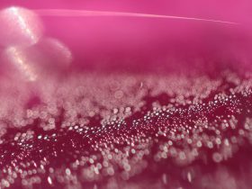 a close up of water droplets on a pink background