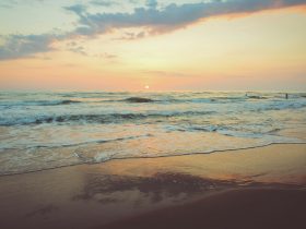 photo of seashore